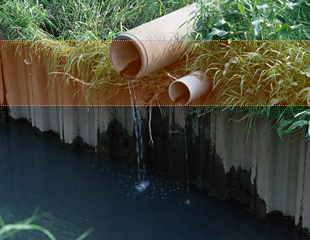 水質汚染の原因と過去の事例、汚染による影響と防止のための対策